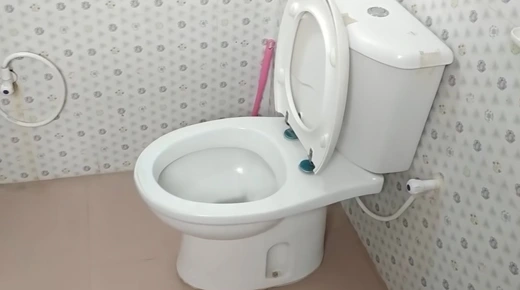 The Disadvantages of a Raised Platform Toilet
