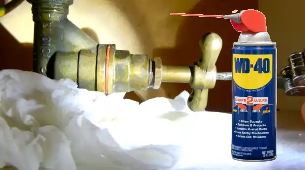 How to spray Wd40 on a water shut-off valve