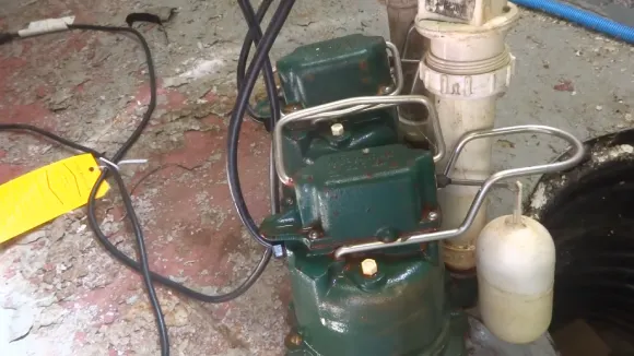Step By Step Guides on How to Reset a Zoeller Sump Pump