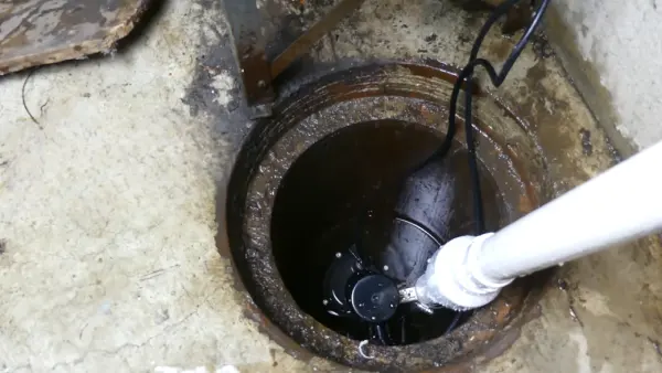 Which Mistakes Do Homeowners Make When Trying to Keep Mice Out of Sump Pumps