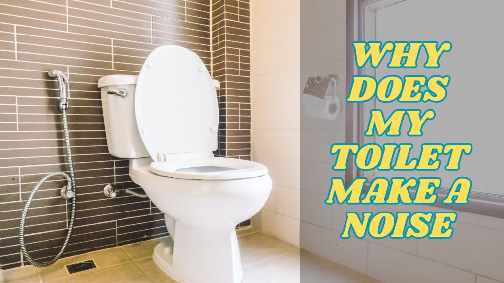 Why Does My Toilet Make a Noise: Diagnose the Sound