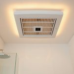 best bath fan with heater