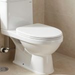 Best Toilet for Septic Tanks