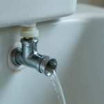 toilet whistles during flush