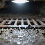 eliminate drain dwelling sewer flies