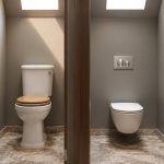 toilet design flush seat difference