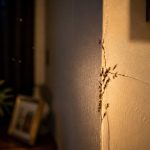 buzzing insects or wiring