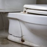 titan toilet issues persist